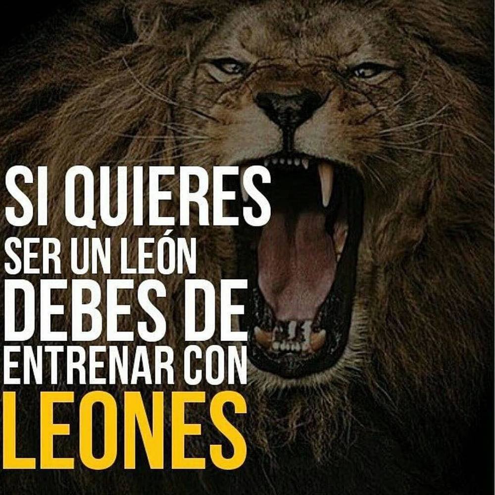 Meet your Posher, Gaston